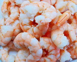 red prawns on ice