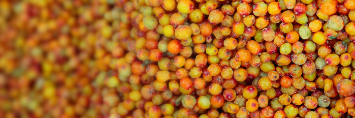 Frozen berries in grocery store shot close-up, blurred background.