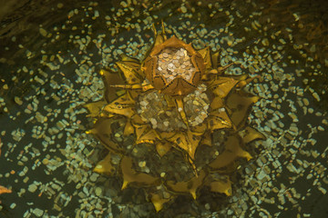 movement of the four golden lotus flowers under the water