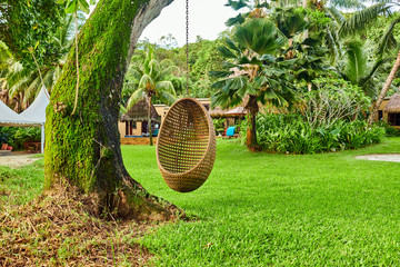 Beach swing egg chair at Seychelles - obrazy, fototapety, plakaty