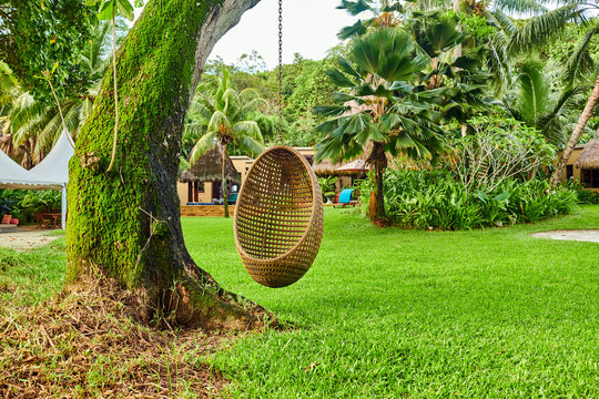Beach swing egg chair at Seychelles