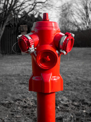 Red fire hydrant in rural area with black and white grass behind it
