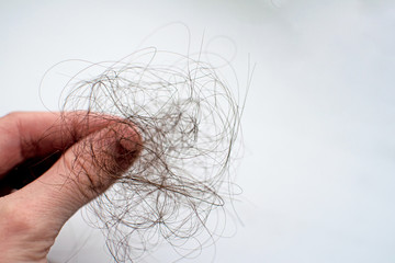 Close-up of lost hair in woman hand on white background. Fear of baldness.