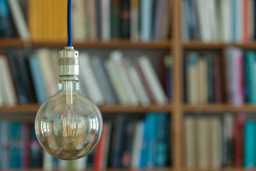 light bulb in front of homely bookcase
