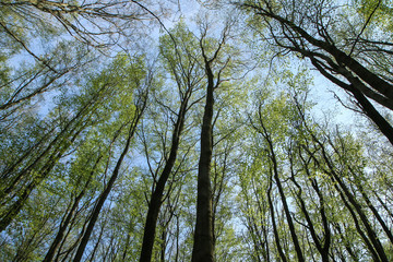 The picture from the nature park in Czech Republic called 