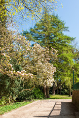 Frühling im Norden Deutschlands in Kiel, der Landeshauptstadt Schleswig-Holsteins