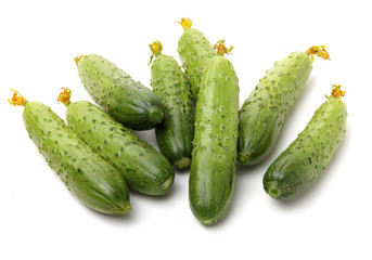 Green cucumber on the white background