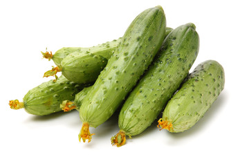 Green cucumber on the white background
