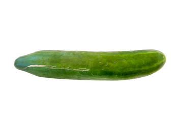 Huge Green Cucumber Isolated On White Background