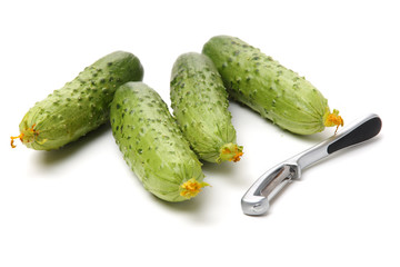 Green cucumber on the white background