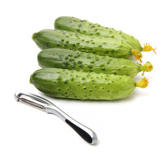 Green cucumber on the white background