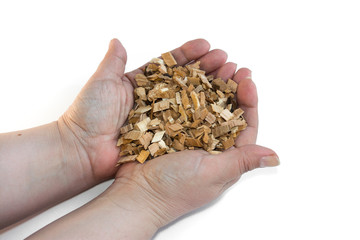 wood chips alder hill lies in the hands of mulching the soil