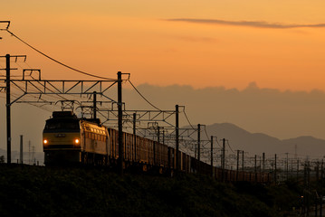 朝日を背にしたEF66けん引貨物列車
