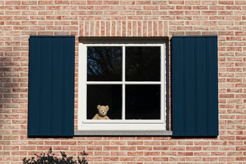 window on brick wall with a teddy bear