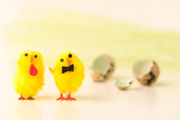 Concept of independent life. Two chickens hatched and went for a walk. Broken shell in the background