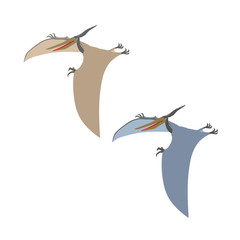 prehistoric reptile of the Jurassic period, flying grey pterodactyl with wings and a crest, color vector illustration isolated on white background in cartoon and hand drawn style © Николай Шитов