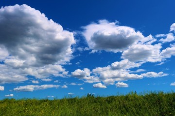 渡良瀬の春　爽やか　風景　杤木