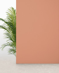 Salmon colored wall with plant, background for product presentation