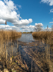 a wondeful lake in saxony, germany
