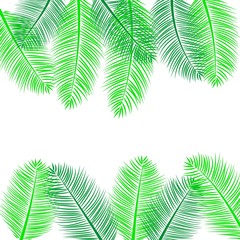 Illustration with summer palm branch. Summer beach floral design. Jungle exotic background.