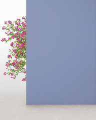 Pigeon blue colored wall with plant, background for product presentation