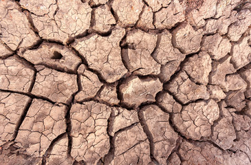 Dried  brown cracked earth soil ground  in closeup  for texture background.