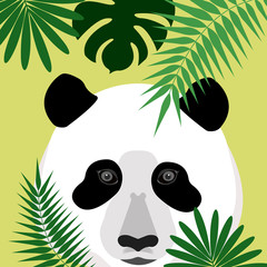 Panda with palm leaves on a yellow background