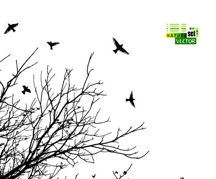 The silhouette of a tree with flying birds. Vector illustration