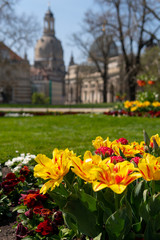 Spring vibes in Dresden, Frauenkirche,  saxony, germany