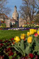 Fototapeta na wymiar Spring vibes in Dresden, Frauenkirche, saxony, germany