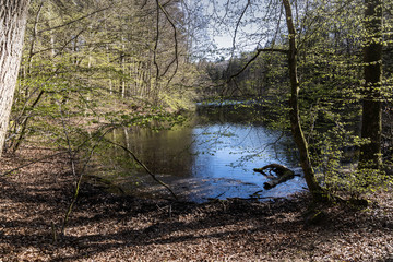 Wildlife Sanctuary Hahnheide small pond