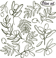 Olives set of elements with olive branches and fruits for Italian, greek or turkish cuisine design or extra virgin oil food or cosmetic product packaging wrapper. Hand drawn Illustration in vector.
