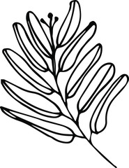 Cute hand drawn single leaf of realistic herb plant. Traditional hand drawn spring flowers in ink style.