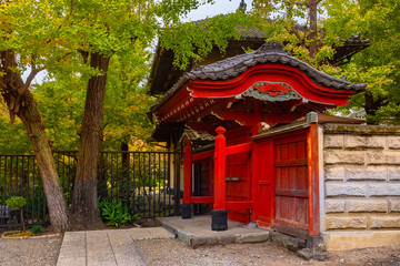Fototapeta premium Japan. Gateway to a small temple in Tokyo. Buddhist temples in the Japanese capital. Red Gate to the Japanese Church. Tokyo in autumn day. Architecture in Japan. Guide to Tokyo. Religion