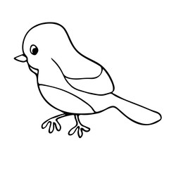 Bird isolated