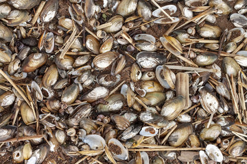 Summer boat trips along the beach in a horizontal perspective