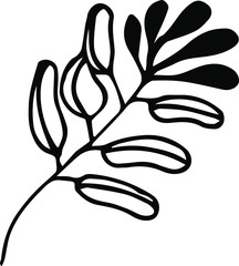 Cute hand drawn single leaf of realistic olive tree plant. Traditional hand drawn spring flowers in ink style.