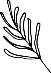 Cute hand drawn single leaf of realistic olive tree plant. Traditional hand drawn spring flowers in ink style.
