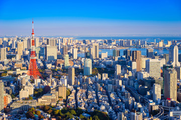 Japan. Panorama of Tokyo aerial view. Tokyo on the background the blue sky. Panorama of the Japanese city with a quadcopter. View of Tokyo from the drone. Japanese cityscape. City in East Asia