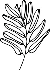 Cute hand drawn single leaf of realistic olive tree plant. Traditional hand drawn spring flowers in ink style.