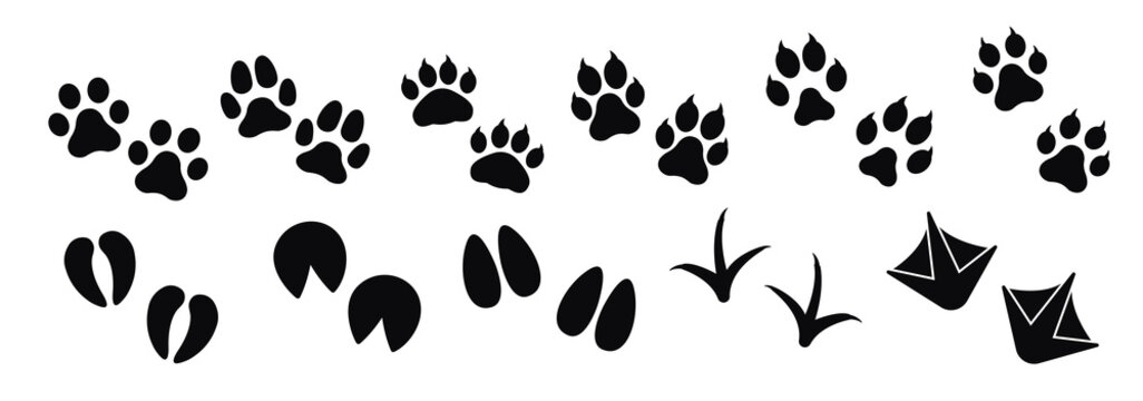 Dog ,cat paw print vector icon