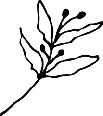 Naklejka premium Cute single hand drawn herbal elements. Doodle vector illustration for wedding design, logo and greeting card. Traditional hand drawn spring flowers in ink style.