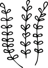Obraz premium Cute single hand drawn herbal elements. Doodle vector illustration for wedding design, logo and greeting card. Traditional hand drawn spring flowers in ink style.