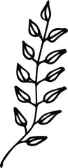 Cute single hand drawn herbal elements. Doodle vector illustration for wedding design, logo and greeting card. Traditional hand drawn spring flowers in ink style.