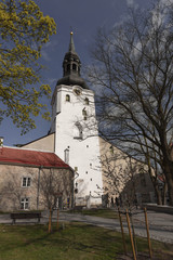 Katedra Najświętszej Maryi Panny w Tallinnie, Estonia