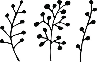 Cute set of hand drawn forest leaves and branches. Traditional leaves in ink, doodle style for wedding decoration and arrangements.