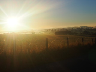 Bright morning sun and beautiful agricultural landscape, Camino de Santiago, Way of St. James, Journey from Olveiroa to Negreira, Fisterra-Muxia way, Spain