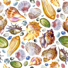 Watercolor illustration. Pattern of sea shells and sea stones on a white background. Summer theme, beach and relaxation.