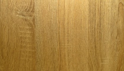 Brown wood texture. Abstract background, empty template