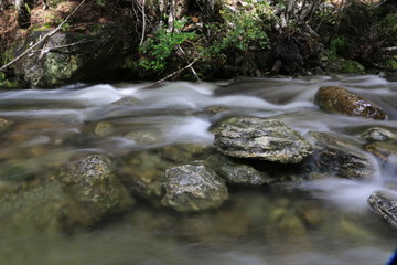 Fototapeta na wymiar Close-up Of Stream Flowing Through Rocks In Forest